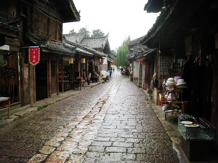 白色森林逃脱