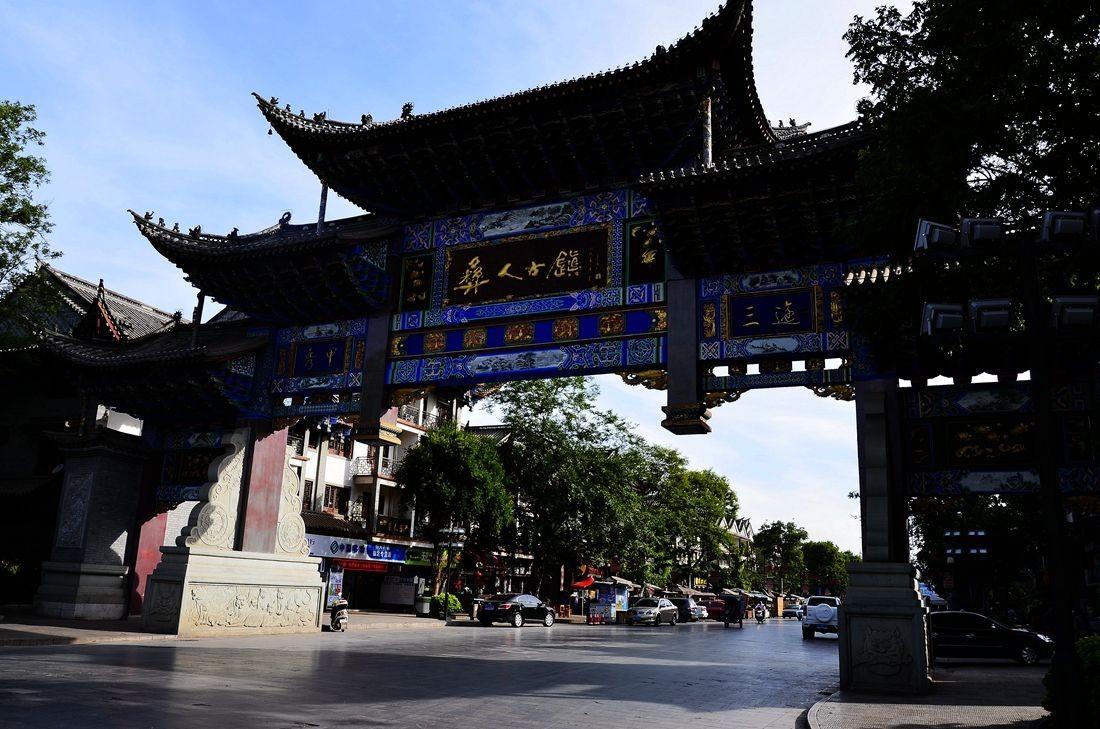 女主人当初收养小流浪猫就是看它太可怜了，长大后这么漂亮这么萌